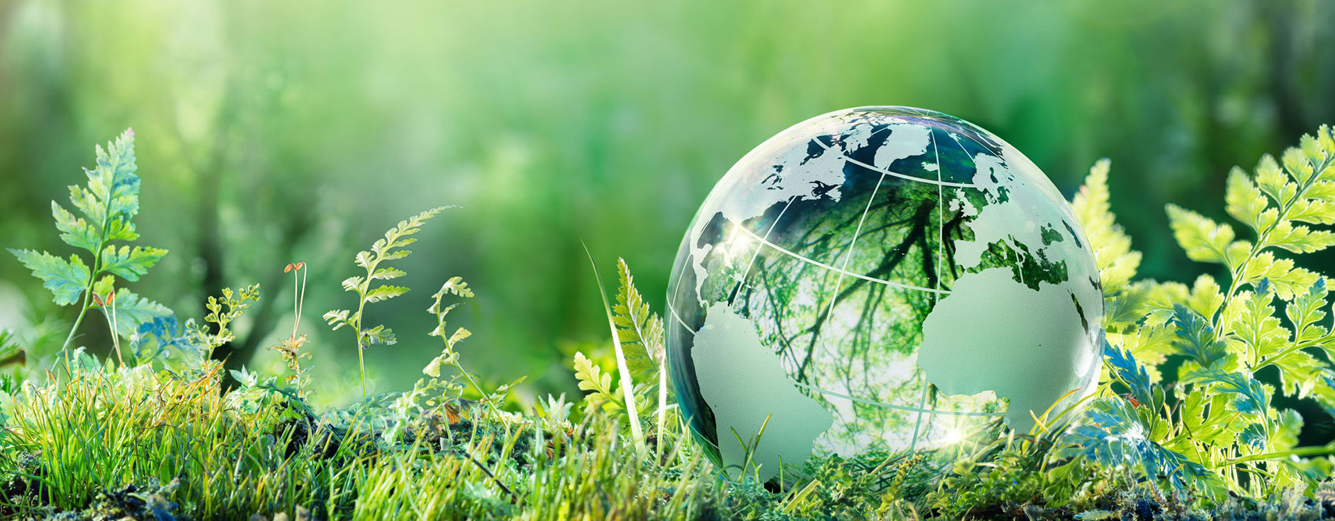 Susbainabilité des abrasifs FUJISTAR