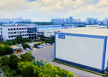 Japon SANKYO RIKAGAKU CO., LTD.