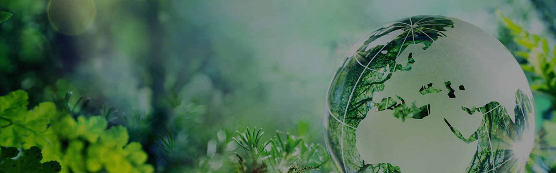 Durabilité des abrasifs FUJISTAR