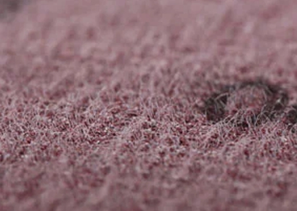 Pourquoi choisir des disques de ponçage de FUJISTAR?